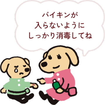 バイキンが入らないようにしっかり消毒してね